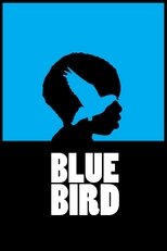 Poster for Blue Bird