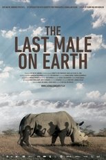 Poster for The Last Male on Earth 