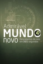Admirável Mundo Novo poster
