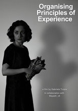 Organising Principles of Experience