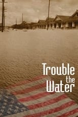 Poster di Trouble the Water