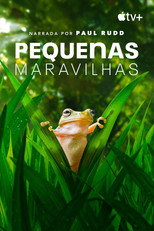 Pôster de Temporada 2 — Pequenas Maravilhas