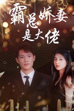 霸总娇妻是大佬 poster