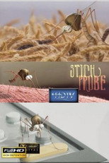Stichprobe poster