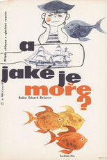 Какое оно, море