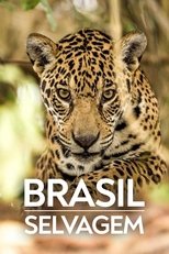 Biomes poster