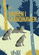 WOLVES IN SCANDINAVIA poster