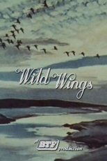 Poster for Wild Wings 