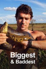 Biggest and Baddest poster