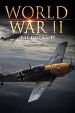 Poster for World War II: The Luftwaffe