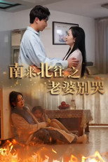 南来北往之老婆别哭 poster