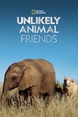 Poster for Unlikely Animal Friends