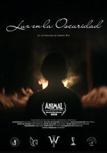 Luz en la oscuridad poster