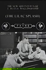 The Lilac Splash