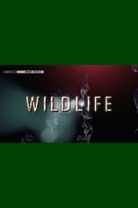 Poster for Wildlife