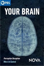 Poster for Your Brain 