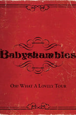 Poster for Oh! What a Lovely Tour - Babyshambles Live