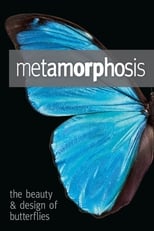 Poster for Metamorphosis: The Design and Beauty of Butterflies 