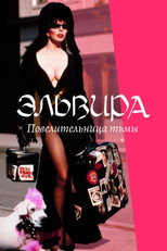 Эльвира: Повелительница тьмы