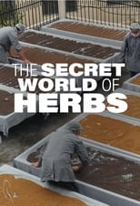 Poster for The Secret World of Herbs