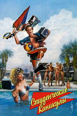 Студенческие каникулы