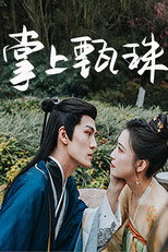 掌上甄珠 poster