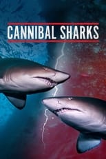 Poster for Cannibal Sharks