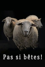 Pas si bêtes! poster