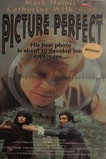 Poster for Picture Perfect