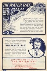 The Water Rat