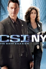 Poster for CSI: NY Season 6