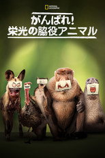 シーズン1