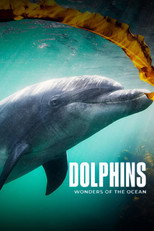 Dolphins - Wonders of the Ocean poster