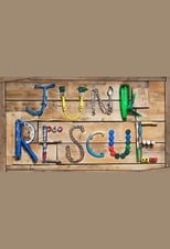 Poster for Junk Rescue