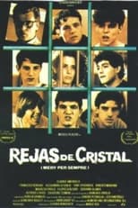 Rejas de cristal