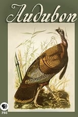 Poster for Audubon 