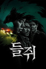 들쥐