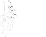 DG Film Company