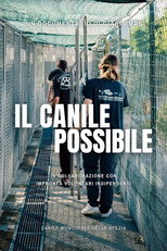 Il Canile Possibile
