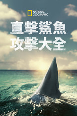 When Sharks Attack 360