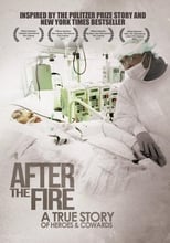 Poster for After the Fire