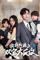 披荆斩棘之双宝大反攻 poster