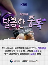 달콤한 중독 poster