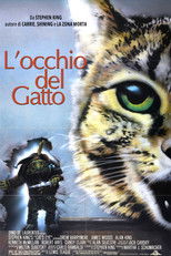 L'occhio del gatto