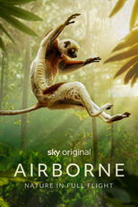 Airborne poster image