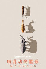 哺乳动物星球