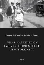 Poster di What Happened on Twenty-Third Street, New York City