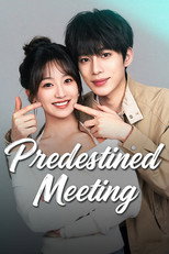 Predestined Meeting poster