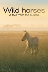 Poster for Wild Horses - A Tale From The Puszta 