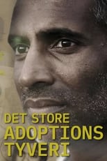 Poster for Det store adoptionstyveri